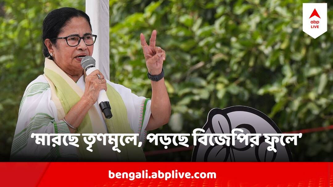 Mamata Banerjee Loksabha Election 2024 : মারছে তৃণমূলে, পড়ছে বিজেপির ফুলে ! কেন বললেন মমতা? Loksabha Election 2024 Mamata Banerjee Alleges BJP of Rigging In Chapra Mamata Banerjee Loksabha Election 2024 : মারছে তৃণমূলে, পড়ছে বিজেপির ফুলে ! কেন বললেন মমতা?