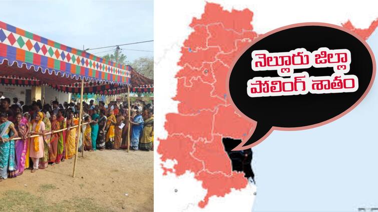Andhra Pradesh Assembly Election 2024 Nellore voting percentage Nellore Voting Percentage: నెల్లూరు జిల్లాలో 2019తో పోల్చుకుంటే పోలింగ్ శాతం పెరిగినట్లేనా?