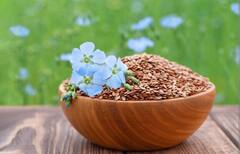 Flex Seeds: कई समस्याओं का रामबाण इलाज है ये छोटू सा बीज, 5 फायदे जो हैरान कर देंगे आप