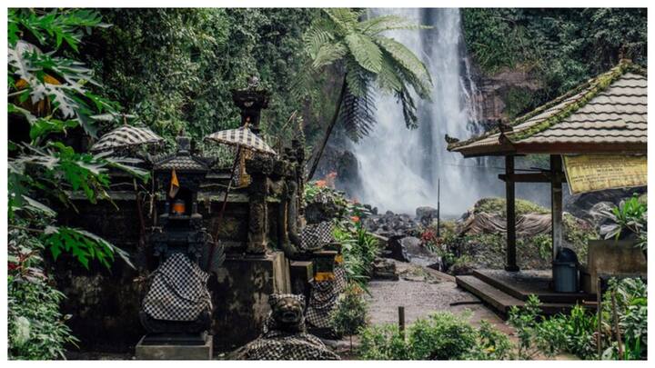 राजगीर : राजगीर एक बहुत ही सुंदर जगह है, जो अपनी पहाड़ियों और हरियाली के लिए जानी जाती है. यहां के गर्म और ठंडे पानी के झरने बहुत आरामदायक होते हैं और शरीर की थकान मिटा देते हैं. यहां की रोपवे यात्रा भी बहुत मजेदार होती है, जो आपको विश्व शांति स्तूप तक ले जाती है जहाँ से चारों ओर का दृश्य देखने को मिलता है.