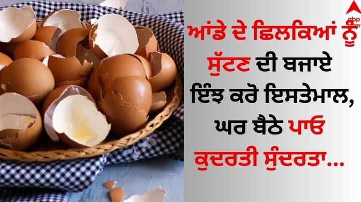 Egg Pack For Face: ਅੱਜਕੱਲ੍ਹ ਦੇ ਸਮੇਂ ਵਿੱਚ ਜ਼ਿਆਦਾਤਰ ਲੋਕ ਖੂਬਸੂਰਤ ਅਤੇ ਚਮਕਦਾਰ ਸਕਿਨ ਲਈ ਕਈ ਤਰੀਕੇ ਅਪਣਾ ਰਹੇ ਹਨ। ਇਸ ਦੌਰਾਨ ਕੁਝ ਘਰੇਲੂ ਅਤੇ ਕੁਝ ਬਜ਼ਾਰੂ ਬਿਊਟੀ ਪ੍ਰੋਡਟਕਸ ਦਾ ਇਸਤੇਮਾਲ ਕਰਦੇ ਹਨ।