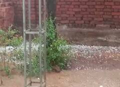 Hailstorm: વલસાડના ગીરનારા ગામે વરસાદ સાથે પડ્યા કરા, જુઓ તસવીરો