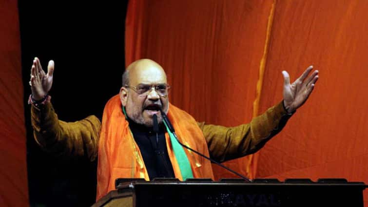 General Elections 2024 Indian Share Market Predictions Union Home Minister Amit Shah BJP Narendra Modi India Elections Result June 4 Lok Sabha Amit Shah Gives Prediction For Indian Share Market After Election Results, Here's What He Said
