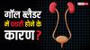 गॉल ब्लैडर में क्यों हो जाती है पथरी, जिससे भारती सिंह भी रहीं परेशान? जानें इसका कारण