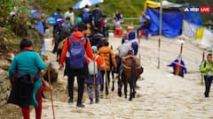 क्या चारधाम यात्रा के दौरान मौत होने पर मिलता है मुआवजा, जानें इसके लिए क्या होती है प्रक्रिया?