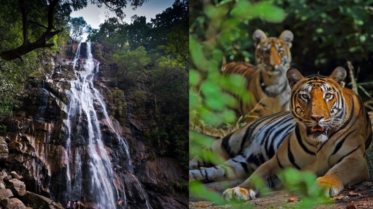 Summer Destination: Beat The Heat With These Must Visit Hill Stations Of Madhya Pradesh