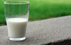 Black Milk: ਇਸ ਜਾਨਵਰ ਦਾ ਦੁੱਧ ਹੁੰਦਾ ਕਾਲਾ, ਨਾਮ ਸੁਣ ਕੇ ਰਹਿ ਜਾਓਗੇ ਹੈਰਾਨ