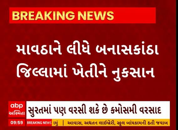 Banaskantha News । માવઠાને કારણે બનાસકાંઠામાં ખેતીને થયું નુકસાન