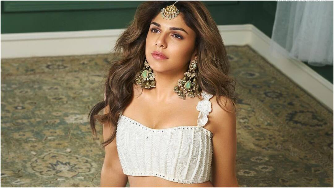 Sharmin Segal: ‘హీరామండి’ నటి షర్మిన్ నటనపై ట్రోల్స్ - ఆమె భన్సాలీ మేనకోడలట, ఆస్తులు రూ.58,000 కోట్లు! here are the details about Heermandi web series fame Sharmin Segal Sharmin Segal: ‘హీరామండి’ నటి షర్మిన్ నటనపై ట్రోల్స్ - ఆమె భన్సాలీ మేనకోడలట, ఆస్తులు రూ.58,000 కోట్లు!