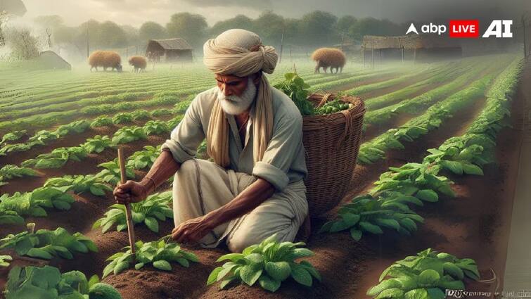 Agriculture what is carbon farmer and how can indian farmers plays vital role in world climate change abpp કાર્બન ફાર્મિંગ શું છે, કેવી રીતે ભારતના ખેડૂતો જળવાયુ પરિવર્તન પર વિશ્વને બતાવી શકે છે રસ્તો?