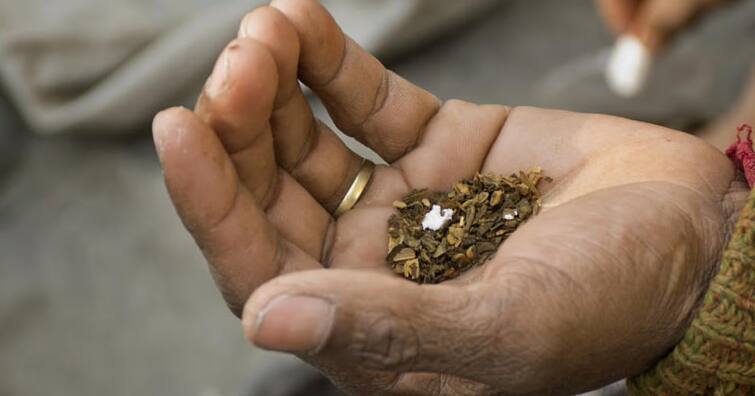 India will lose billions due to tobacco says reports Smokeless Tobacco: ਗੁਟਖਾ ਤੇ ਤੰਬਾਕੂ ਨਾਲ ਪੂਰੇ ਭਾਰਤ ਨੂੰ ਹੋਵੇਗਾ ਅਰਬਾਂ ਰੁਪਏ ਦਾ ਨੁਕਸਾਨ, ਜਾਣੋ ਕਿਵੇਂ, ਰਿਪੋਰਟ 'ਚ ਵੱਡਾ ਖੁਲਾਸਾ