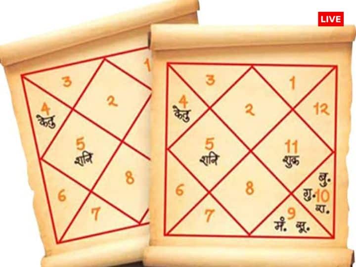 वेशी योग सूर्य से बनने वाला राजयोग हैं. ज्योतिष शास्त्र में वेशी योग एक बहुत ही दुर्लभ और अत्यधिक प्रभावी ग्रह संयोजन माना जाता है.