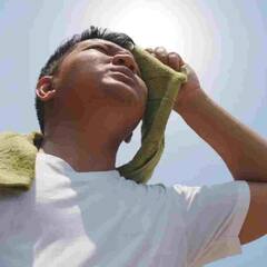 Summer Season : ਗਰਮੀ ਤੋਂ ਰਾਹਤ ਪਾਉਣ ਆਹ ਕੁਦਰਤੀ ਚੀਜਾਂ ਹਨ ਬੇਹੱਦ ਫਾਇਦੇਮੰਦ