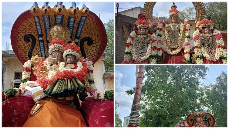 Villupuram District Deevanur Sri Lakshmi Narayana Perumal Temple  History TNN அரச மரத்தை சுற்றிவந்தால் குழந்தை பாக்கியம் நிச்சயம் என நம்பிக்கை: இஸ்லாமியர் ஒருவருக்கு ஆண் குழந்தை