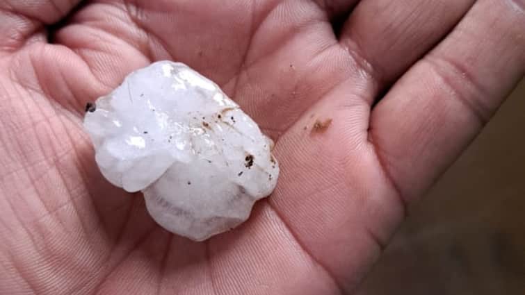up weather news Unseasonal rain and hail hit Aligarh farmer crop damaged ann Weather Update: अलीगढ़ में आफत की बारिश, किसानों की फसलों पर पड़े ओले, बदला मौसम