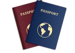 Passport Tips: ਪਾਸਪੋਰਟ ਲਈ ਅਪਲਾਈ ਕਰਨ ਵੇਲੇ ਭੁੱਲ ਕੇ ਵੀ ਨਾ ਗਲਤ ਭਰਿਓ ਆਹ ਜਾਣਕਾਰੀ, ਨਹੀਂ ਤਾਂ 2 ਸਾਲ ਦੀ ਹੋ ਜਾਵੇਗੀ ਜੇਲ੍ਹ