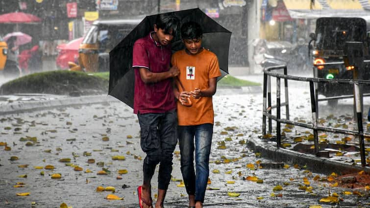 Tamil Nadu, Kerala, Ok’taka To Witness Heavy Rainfall, Thunderstorms Until Might 18: IMD