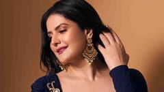 कॉल सेंटरमध्ये काम करायची जरीन खान; सलमान खानच्या एका नजरेने तिचे संपूर्ण आयुष्य बदलले!