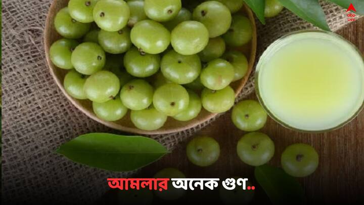 Amla Health Benefits :  আয়নার সামনে দাঁড়িয়ে অসুখী ? বলিরেখার কামড়ে বয়স্ক দেখাচ্ছে ? এই পথেই মুশকিল আসান, জানুন কীভাবে ?