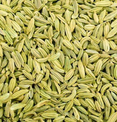 ਅੱਜ ਦੇ ਸਮੇਂ ਵਿੱਚ ਅੱਖਾਂ ਨਾਲ ਸੰਬੰਧਤ ਸਮੱਸਿਆਵਾਂ ਬਹੁਤ ਜ਼ਿਆਦਾ ਦੇਖਣ ਨੂੰ ਮਿਲਦੀਆਂ ਹਨ। ਲੈਪਟਾਪ ‘ਤੇ ਘੰਟਿਆਂ ਬੱਧੀ ਕੰਮ ਕਰਨ ਜਾਂ ਮੋਬਾਈਲ ਦੀ ਜ਼ਿਆਦਾ ਵਰਤੋਂ ਕਾਰਨ ਸਾਡੀਆਂ ਅੱਖਾਂ ਕਮਜ਼ੋਰ ਹੋ ਰਹੀਆਂ ਹਨ।