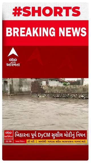 Amreli | ધોધમાર વરસાદ તૂટી પડતા ગામમાં જળબંબાકારની સ્થિતિ, જુઓ શોર્ટ વીડિયો