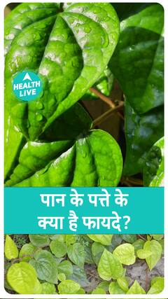 पान के पत्ते के क्या फायदे है ? | Betel Leaf | Health Live