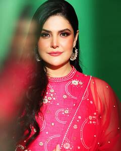 कॉल सेंटरमध्ये काम करायची जरीन खान; सलमान खानच्या एका नजरेने तिचे संपूर्ण आयुष्य बदलले!