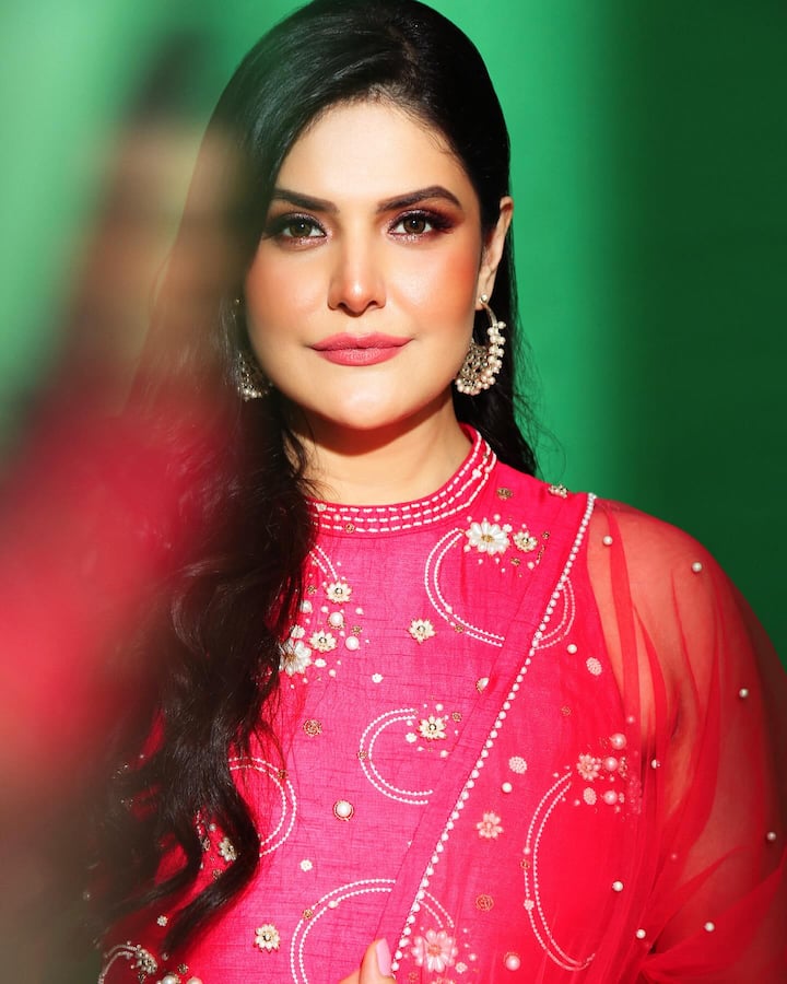 या इंडस्ट्रीत असे काही कलाकार आहेत ज्यांना चित्रपटात काम करण्याची संधी मिळेल असे कधीच वाटले नसेल आणि अचानक त्यांचे नशीब चमकले. यापैकी एक नाव म्हणजे जरीन खान.