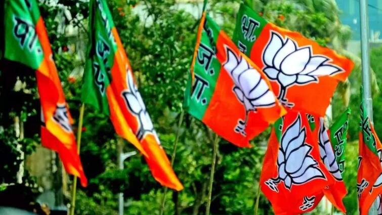 BJP AAP Congress Submits Highest Number Political Advertisements Approval Poll Body Data Shows BJP Submits Highest Number Of Political Advertisements For Approval From Poll Body: Data Shows