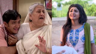 'Pherari Mon': অবিকল অগ্নি! ভোলাকে দেখে উন্মত্তের মতো খুঁজতে শুরু করে তুলসি, তারপর?