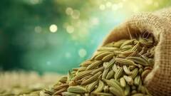 Fennel Seeds: স্বাস্থ্যের 'ধন', এই গরমে মৌরি খেলে কী কী উপকার পাওয়া যাবে ?
