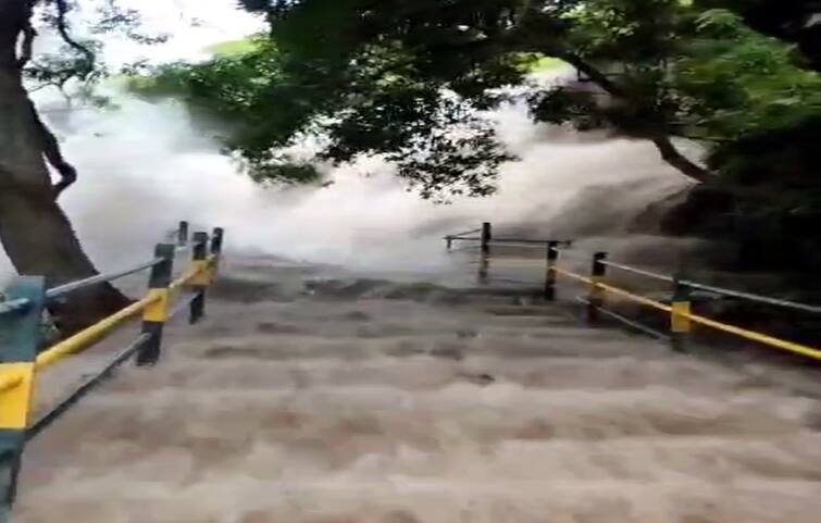 Theni news flood at Meghamalai waterfall forest officials alerted the tourists and rescued them safely - TNN Watch Video: மேகமலையில் திடீர் வெள்ளப்பெருக்கு; சுற்றுலா பயணிகளை காப்பாற்றிய வனத்துறை