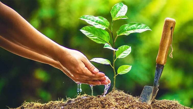 Thanjavur Satya Walk Training Association decided one thousand saplings will be planted - TNN தஞ்சை அன்னை சத்யா விளையாட்டு அரங்கத்தில் 1000 மரக்கன்றுகள் நட முடிவு