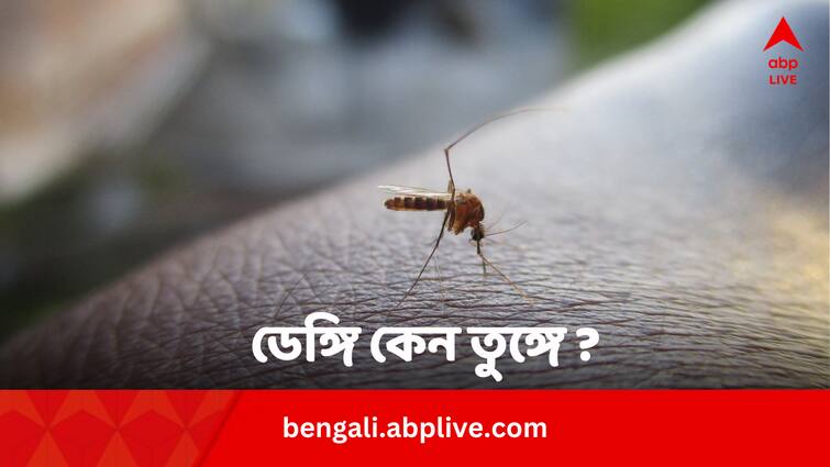 National Dengue Day 2024 Why India's Dengue Burden Rising In Bengali National Dengue Day 2024: দিন দিন কেন বাড়ছে ডেঙ্গির প্রকোপ ?