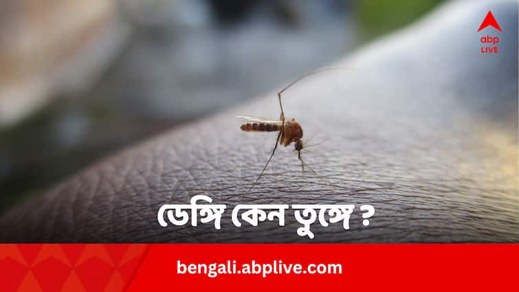 National Dengue Day 2024 Why India’s Dengue Burden Rising In Bengali