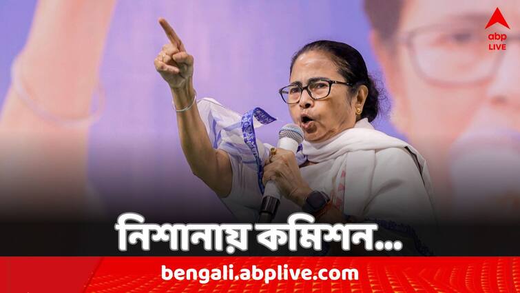 Lok Sabha Election 2024 Mamata Banerjee attacks Election Commission of India for seven phases vote amid Summer heat wave Mamata Banerjee: 'নিজেরা এসি ঘরে বসে আছেন', তীব্র গরমে ৭ দফায় ভোট নিয়ে কমিশনকে নিশানা মমতার