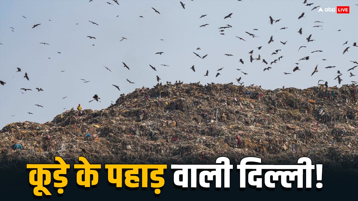 न सिस्टम, न सरकार, कूड़े के पहाड़ के आगे दिल्ली में सब बौने?