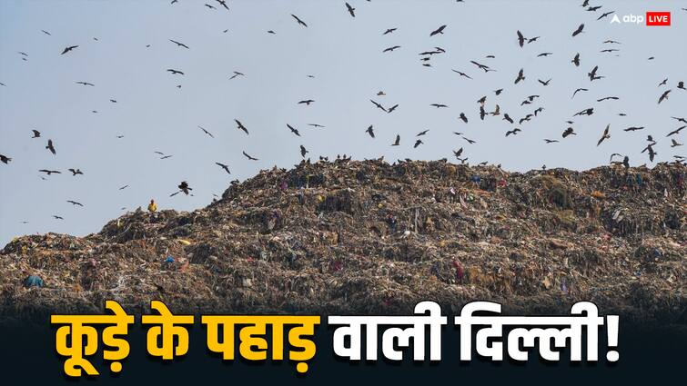 Ghazipur landfill site 14000 tonnes of municipal solid waste generated in Delhi-NCR every day ABPP न सिस्टम, न सरकार, कूड़े के पहाड़ के आगे दिल्ली में सब बौने?