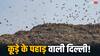 न सिस्टम, न सरकार, कूड़े के पहाड़ के आगे दिल्ली में सब बौने?