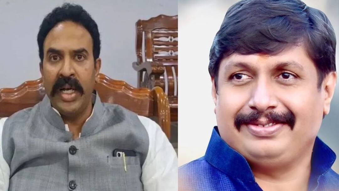 कार्यकर्त्याला हात लावाल तर याद राखा, आम्ही मुळावर घाव टाकू, निंबाळकरांचा मोहिते पाटलांना इशारा Bjp Mp Ranjeetsingh Nimbalkar criticism on Mohite Patil madha loksabha election news कार्यकर्त्याला हात लावाल तर याद राखा, आम्ही मुळावर घाव टाकू, निंबाळकरांचा मोहिते पाटलांना इशारा