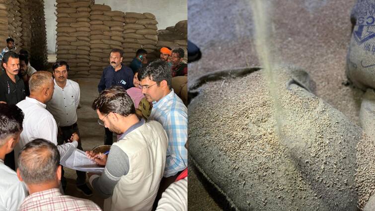 Jabalpur officials Purchase poor quality wheat at MSP Collector Deepak Saxena suspended three officers MLA Inspected ANN MP: जबलपुर में खरीदी में सरकार को लगाया करोड़ों का चूना, MLA और तहसीलदार ने पकड़ा घुन लगा गेंहू