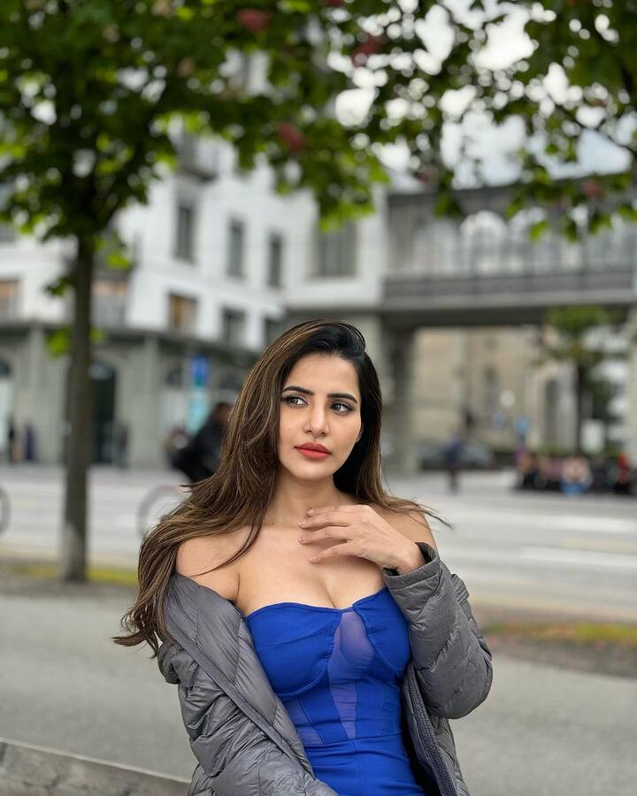 ఈ ఫోటోలను ఇన్స్టాలో షేర్ చేసి.. వాటికి Issa thick chic.. 💙 #ashureddy #zurichcity #travelwhenyoureyoung #breakthaticebaby అంటూ క్యాప్షన్ ఇచ్చింది.(Images Source : Instagram/Ashu Reddy)