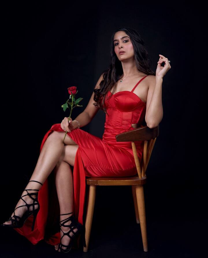 अनीशा दीक्षित की कमाई की बात करें तो वो अपनी यूट्यूब चैनल के साथ-साथ इंस्टाग्राम से भी कमाई करती हैं. रिपोर्ट्स के मुताबिक अनीशा दीक्षित हर महीने ढाई से तीन लाख रुपये कमाती हैं.