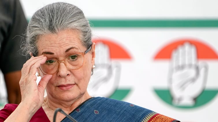 Sonia Gandhi Named Congress Parliamentary Party Chairperson, Says 'Modi  Lost Right To Leadership'