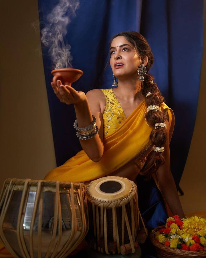 अनीशा दीक्षित सामाजिक मुद्दों पर वीडियो बनाने के अलावा पेरोड़ी और व्लॉग भी बनाती हैं. अनीशा का अपना एक अलग फैनबेस है जोकि उनके चैनल रिक्शावाली को देखकर साफ पता चलता है.