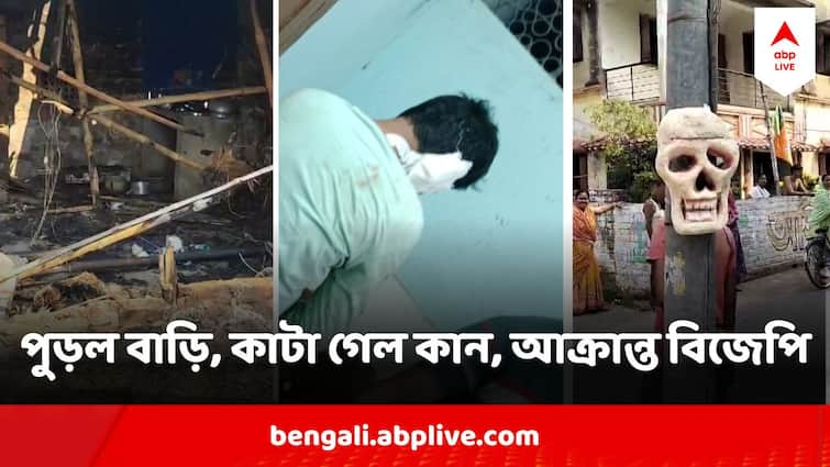 Loksabha Election 2024  West Bengal Poll Violence BJP Allegedly Attacked By TMC Threats BJP Loksabha Election 2024 : কাটা গেল কান, পুড়ল বাড়ি, বাড়ির সামনে নকল কঙ্কাল ! ভোট-আবহে 'হিংসা', আক্রান্ত বিজেপি