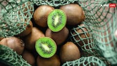 कैसे होती है कीवी की खेती, एक सीजन में कितने पैसे कमा सकते हैं आप?