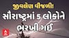 Saurashtra Lighting Strike | જીવલેણ વીજળી! | સૌરાષ્ટ્રમાં 5 લોકોને ભરખી ગઈ