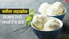 Vanilla Ice Cream: वनीला आइस्क्रीम के साथ जोड़ेंगे ये चीजें, तो स्वाद हो जाएगा दोगुना