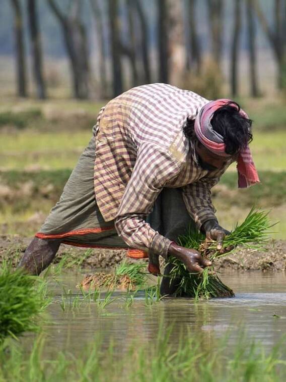 इन 5 योजनाओं से किसानों को मिल सकते हैं पैसे